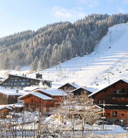 Vignette MORZINE - Village Vacances