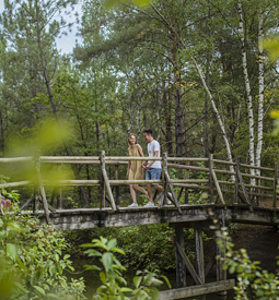 Vignette CENTER-PARCS SOLOGNE - Location