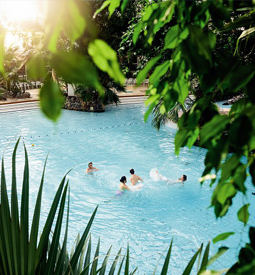 Vignette CENTER-PARCS NORMANDIE - Location